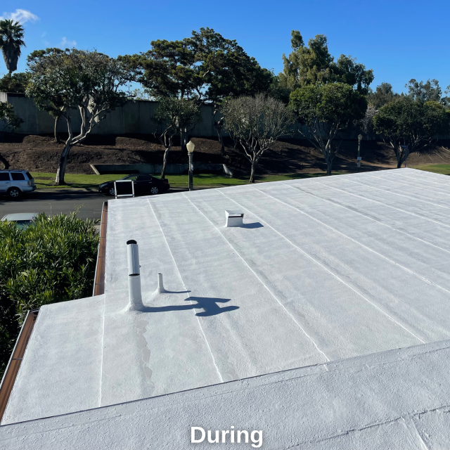 Roof Coating West LA - During