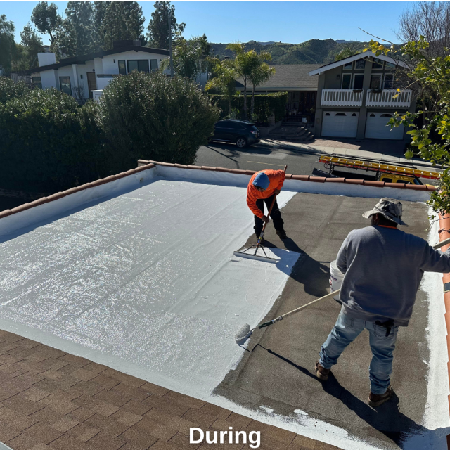 Cordero - Flat Roof - During